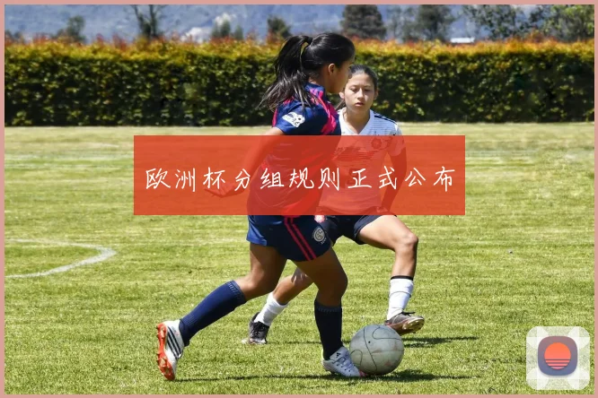 欧洲杯分组规则正式公布