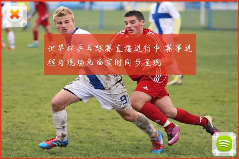 世界杯乒乓球赛直播进行中 赛事进程与现场画面实时同步呈现