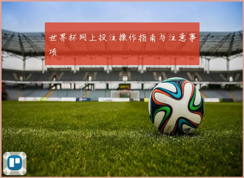 世界杯网上投注操作指南与注意事项
