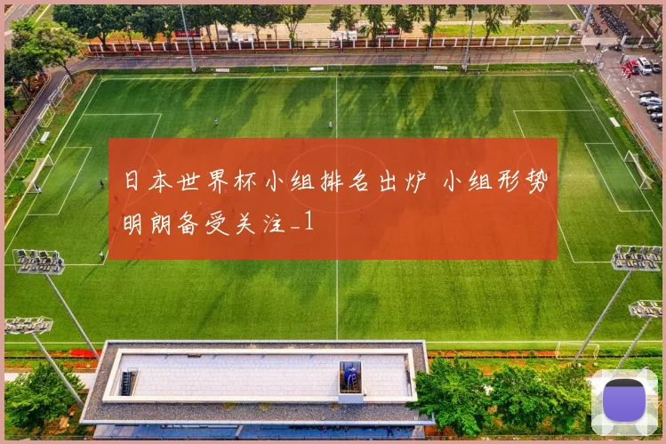 日本世界杯小组排名出炉 小组形势明朗备受关注_1