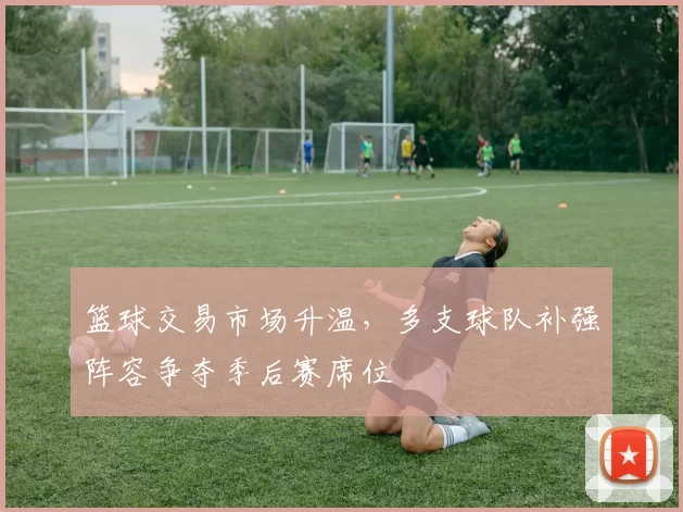 篮球交易市场升温，多支球队补强阵容争夺季后赛席位