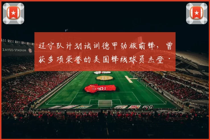 辽宁队计划试训德甲劲旅前锋，曾获多项荣誉的美国锋线球员杰登·勒迪_联赛_1_CBA