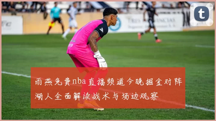 雨燕免费nba直播频道今晚掘金对阵湖人全面解读战术与场边观察