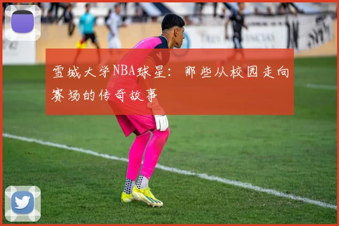 雪城大学NBA球星：那些从校园走向赛场的传奇故事